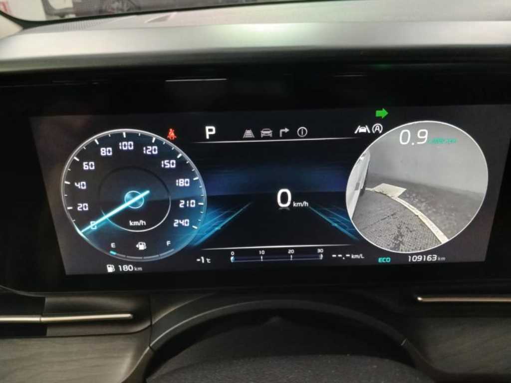 KIA Carnival - Vista 12