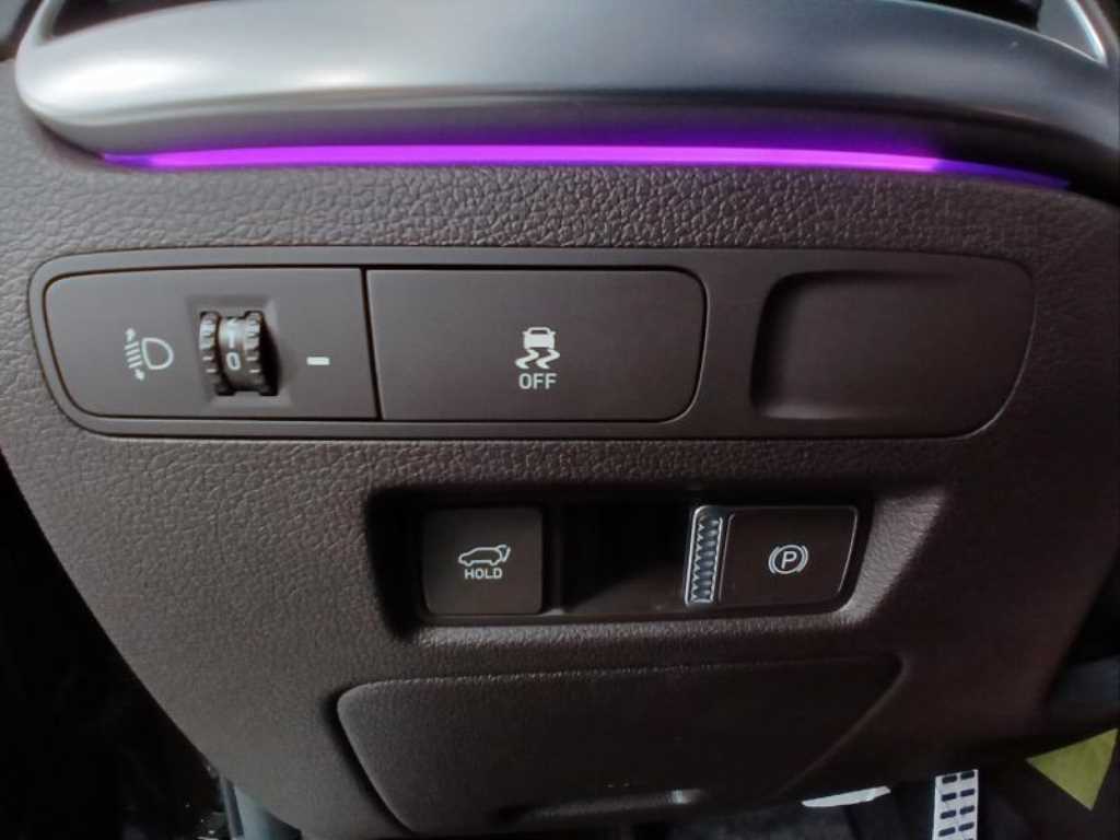 HYUNDAI Palisade - Vista 10