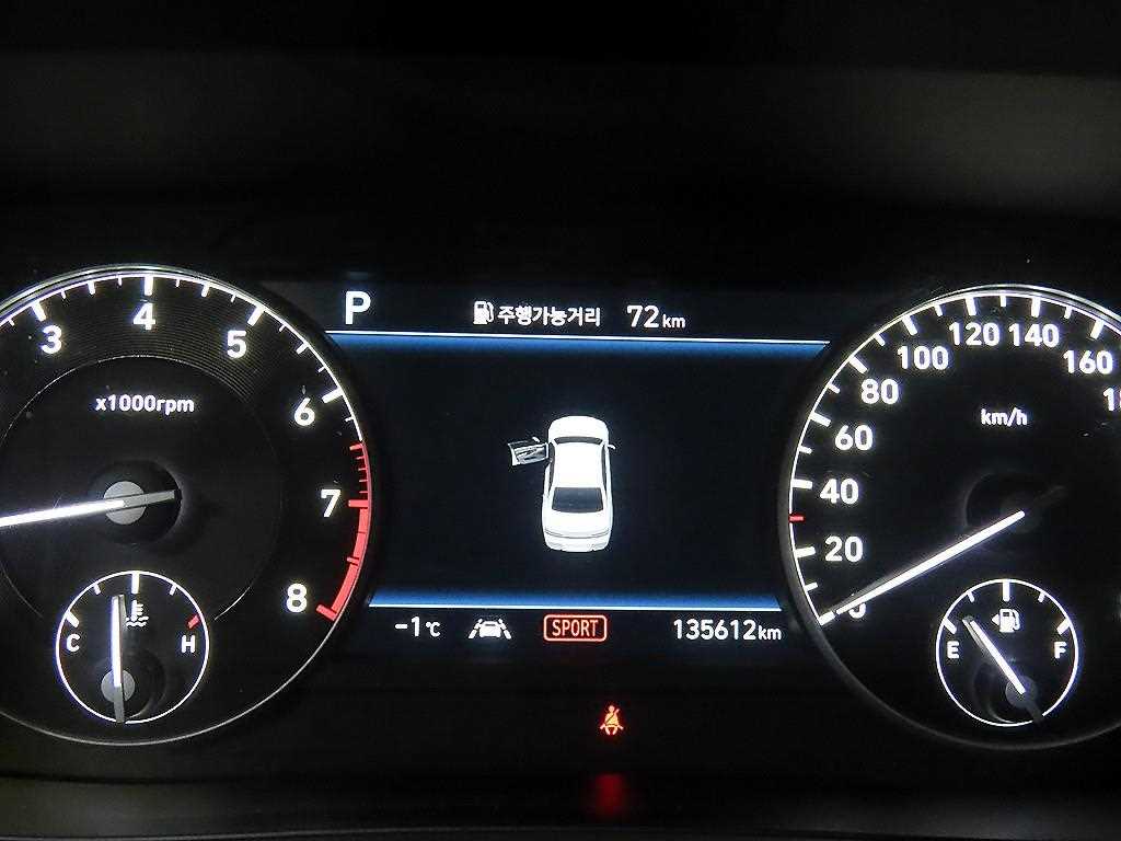 Genesis G90 - Vista 9