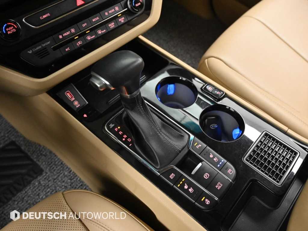 KIA Carnival - Vista 9