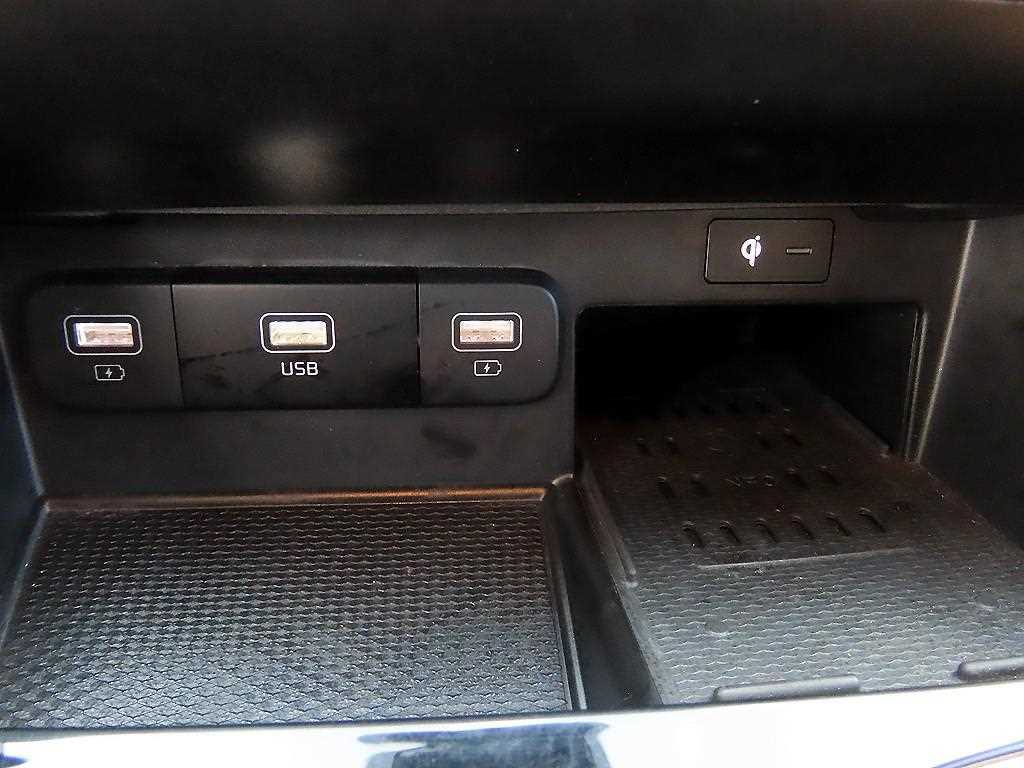 KIA Carnival - Vista 12