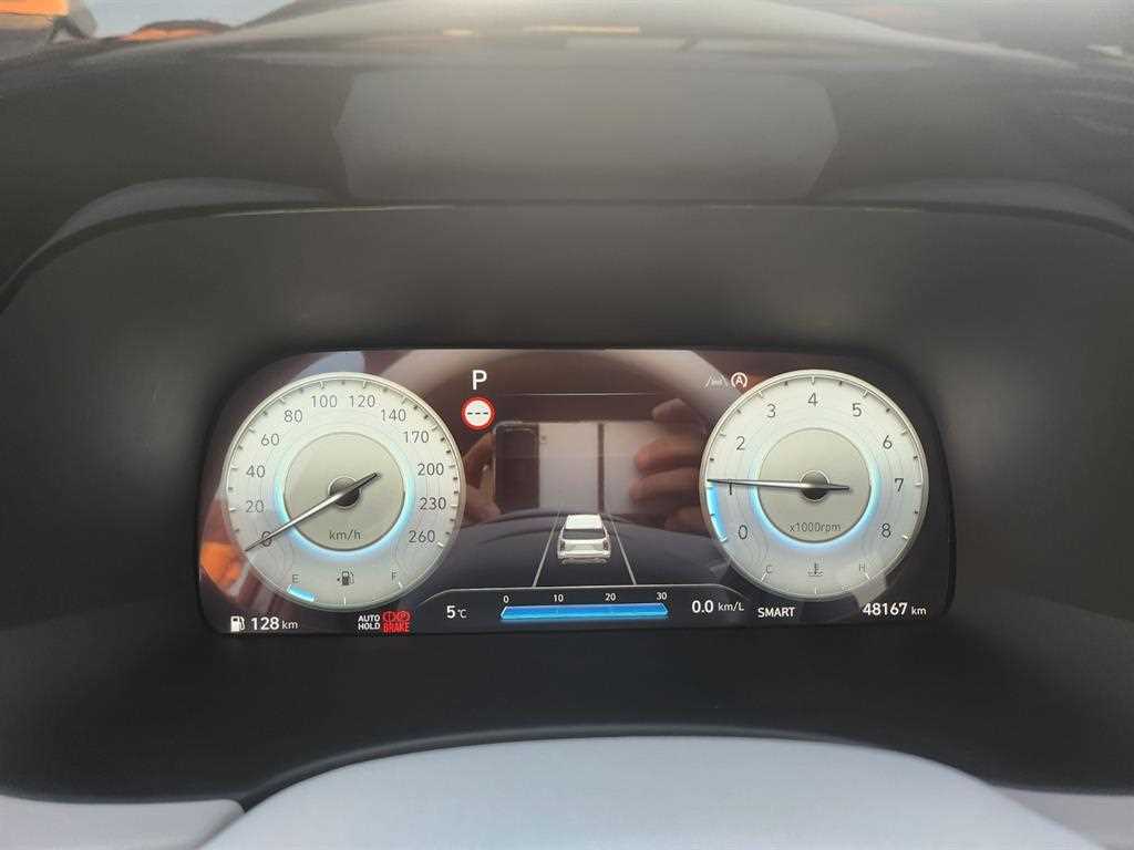 HYUNDAI Palisade - Vista 10