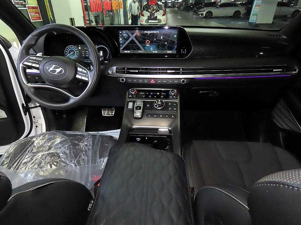 HYUNDAI Palisade - Vista 10