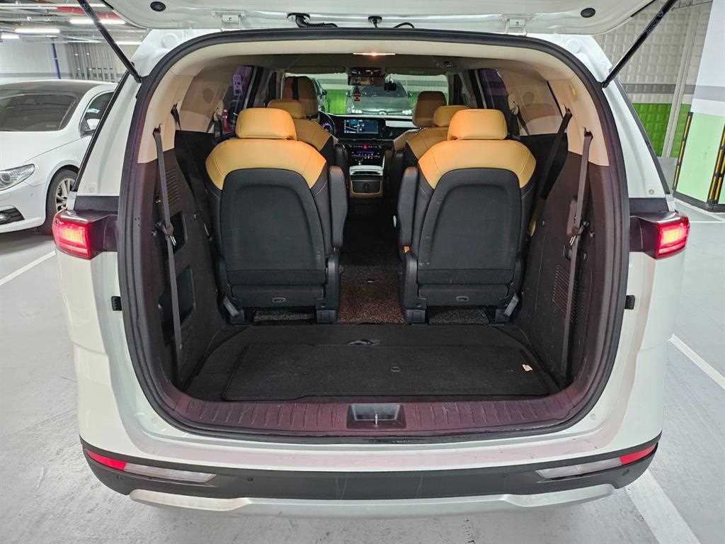 KIA Carnival - Vista 5