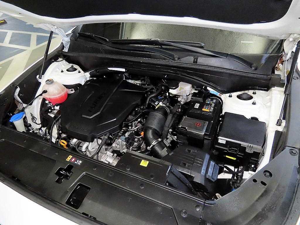 HYUNDAI Santa Fe 2022 Blanco - Importación desde Corea - HF Imports Iquique - Foto 19