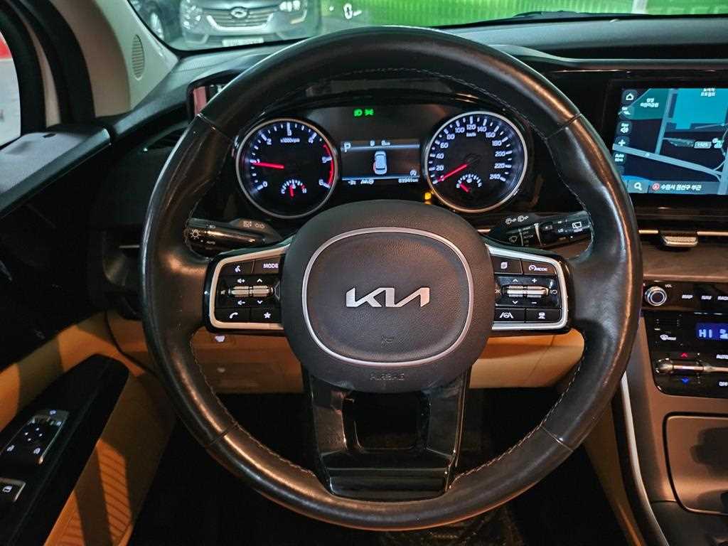 KIA Carnival - Vista 10