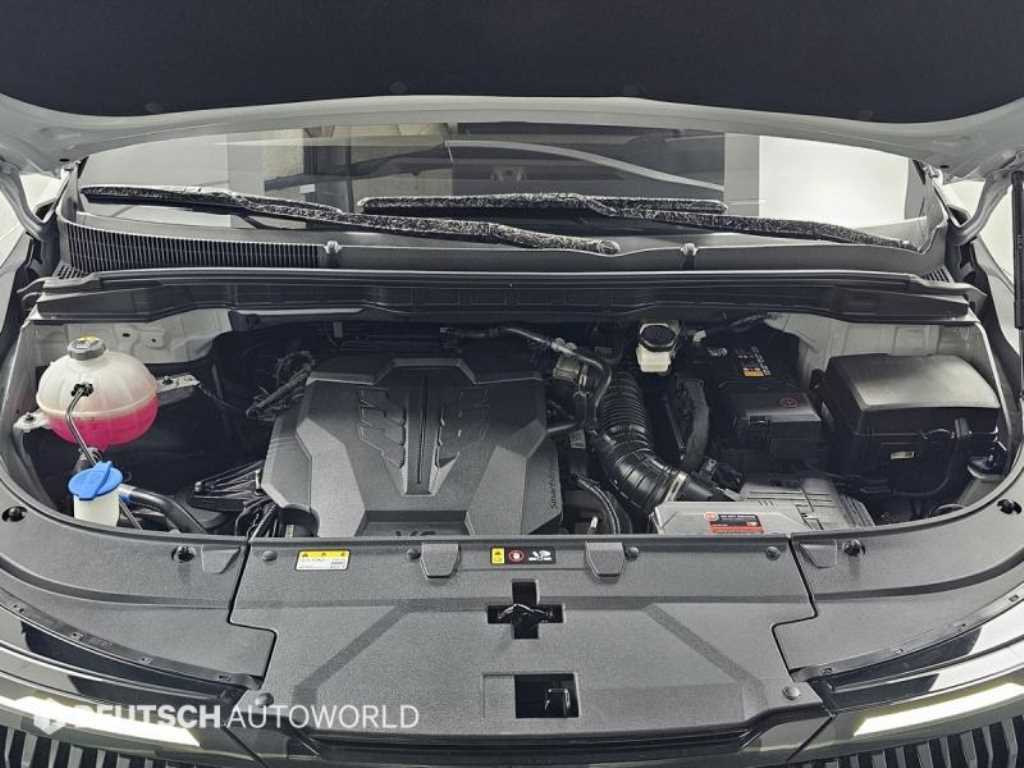 KIA Carnival - Vista 7