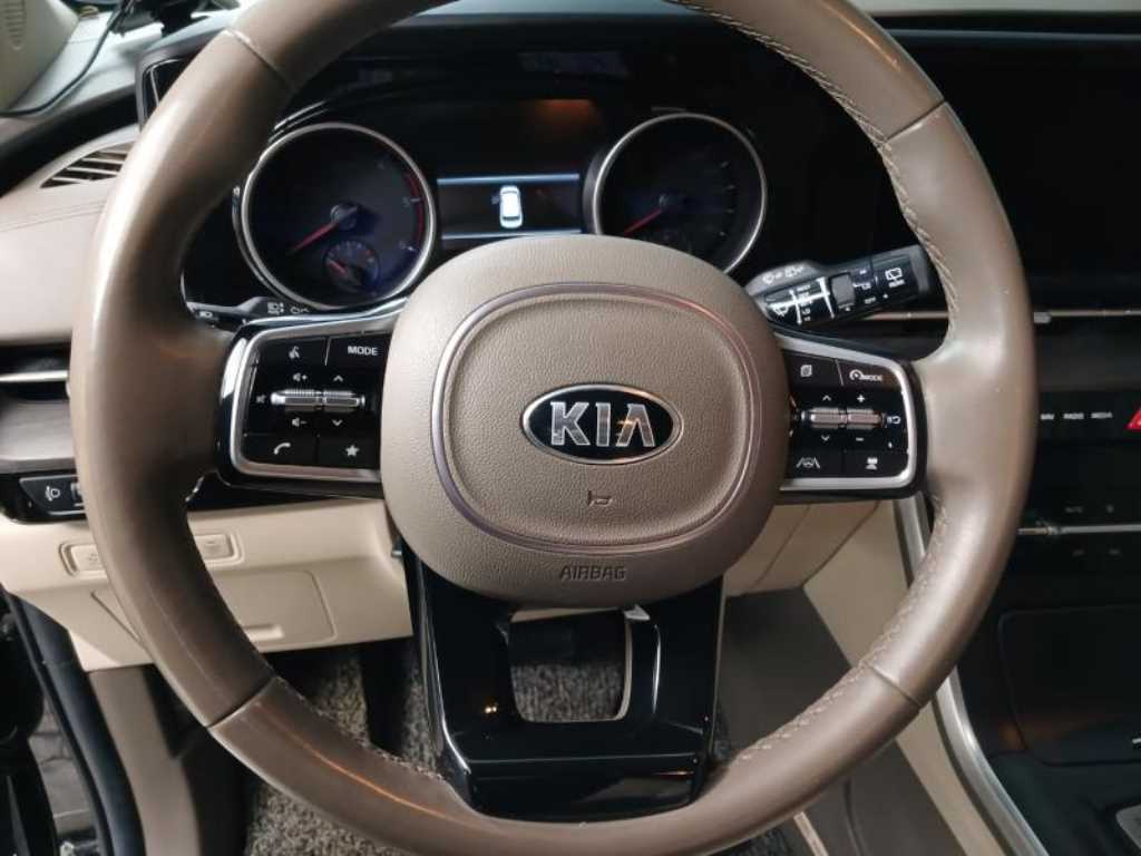 KIA Carnival - Vista 11