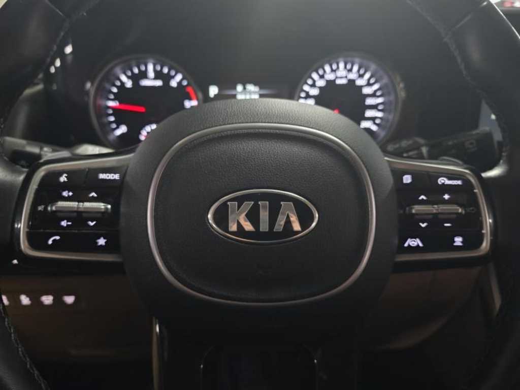 KIA Carnival - Vista 8