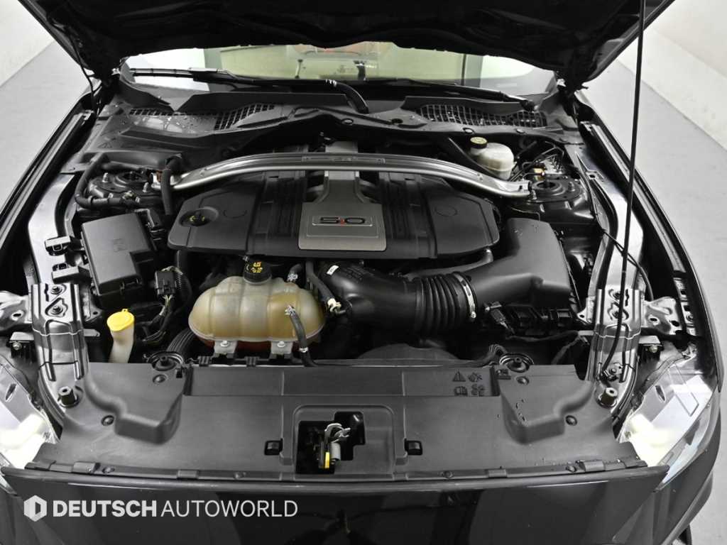 Ford Mustang - Vista 6