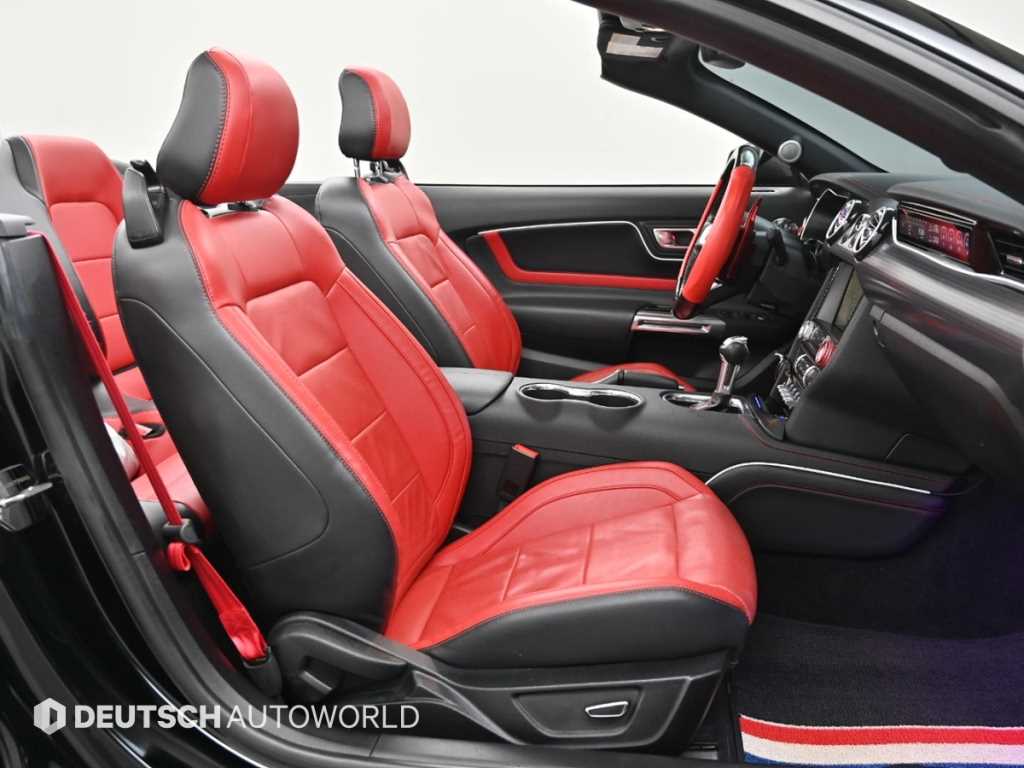 Ford Mustang - Vista 10