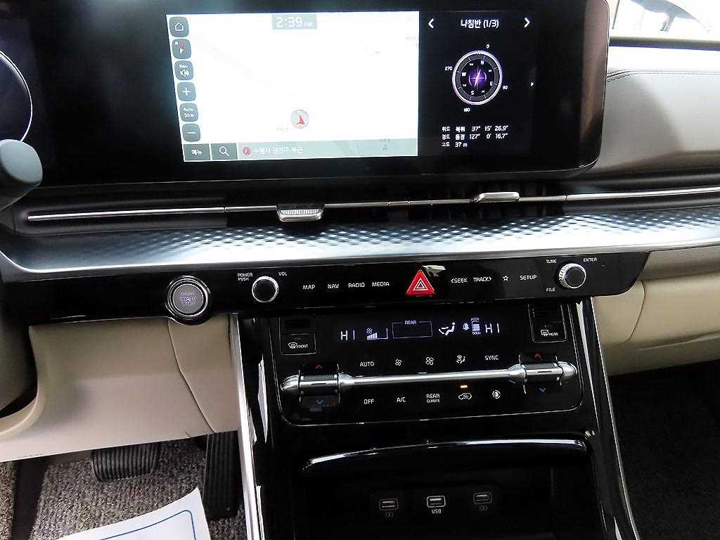 KIA Carnival - Vista 12