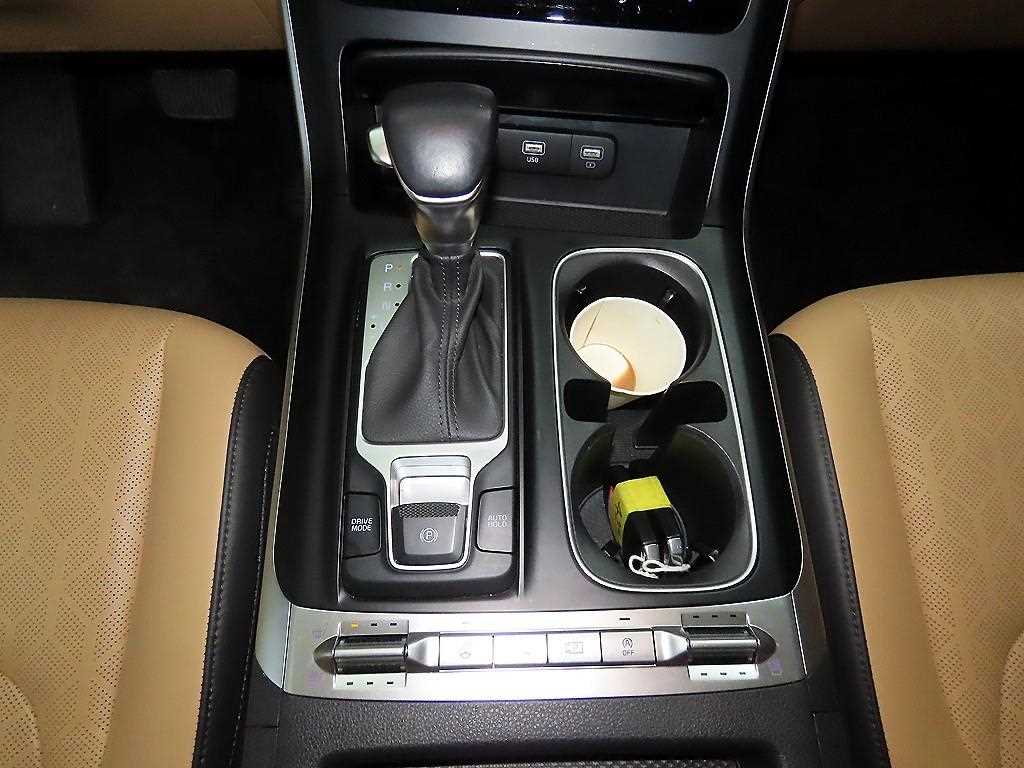 KIA Carnival - Vista 12