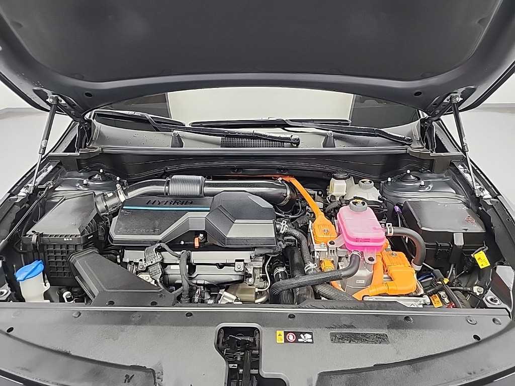 KIA Sportage - Vista 5