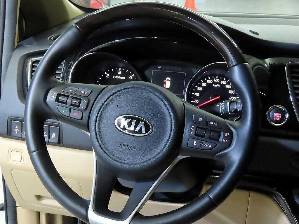 KIA Carnival - Vista 8