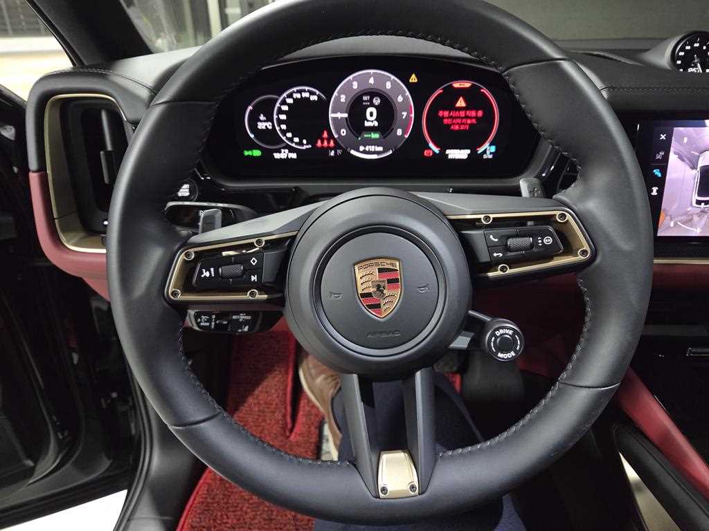 Porsche Cayenne - Vista 11