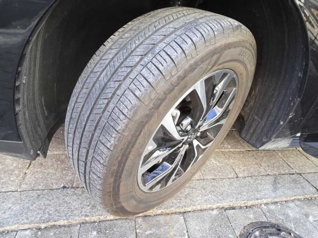 KIA Carnival - Vista 9