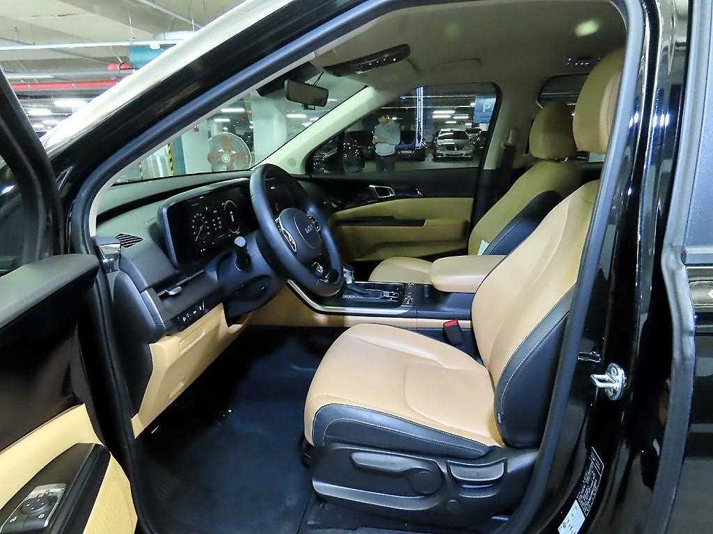 KIA Carnival - Vista 11
