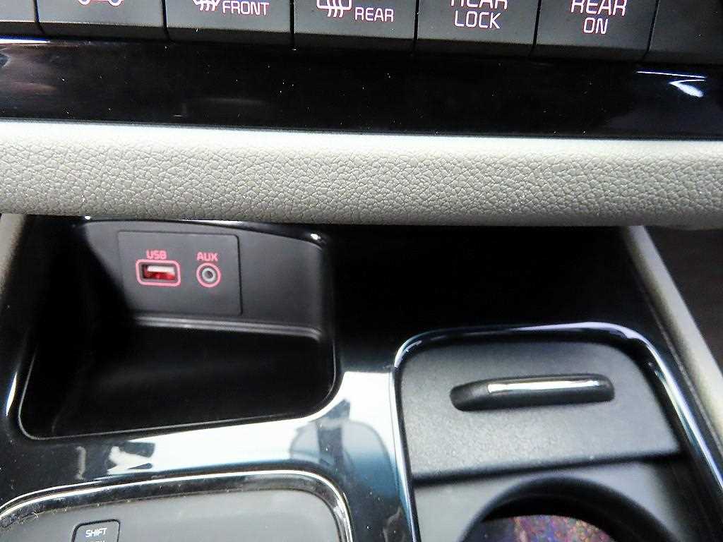 KIA Carnival - Vista 12