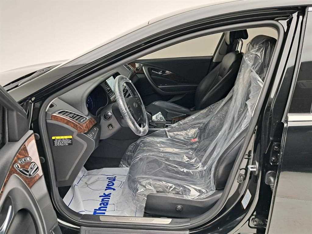 HYUNDAI Aslan - Vista 11