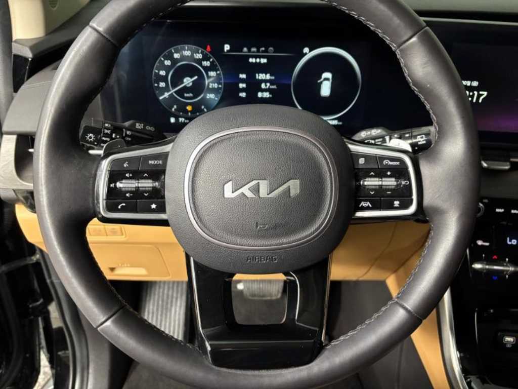 KIA Carnival - Vista 12
