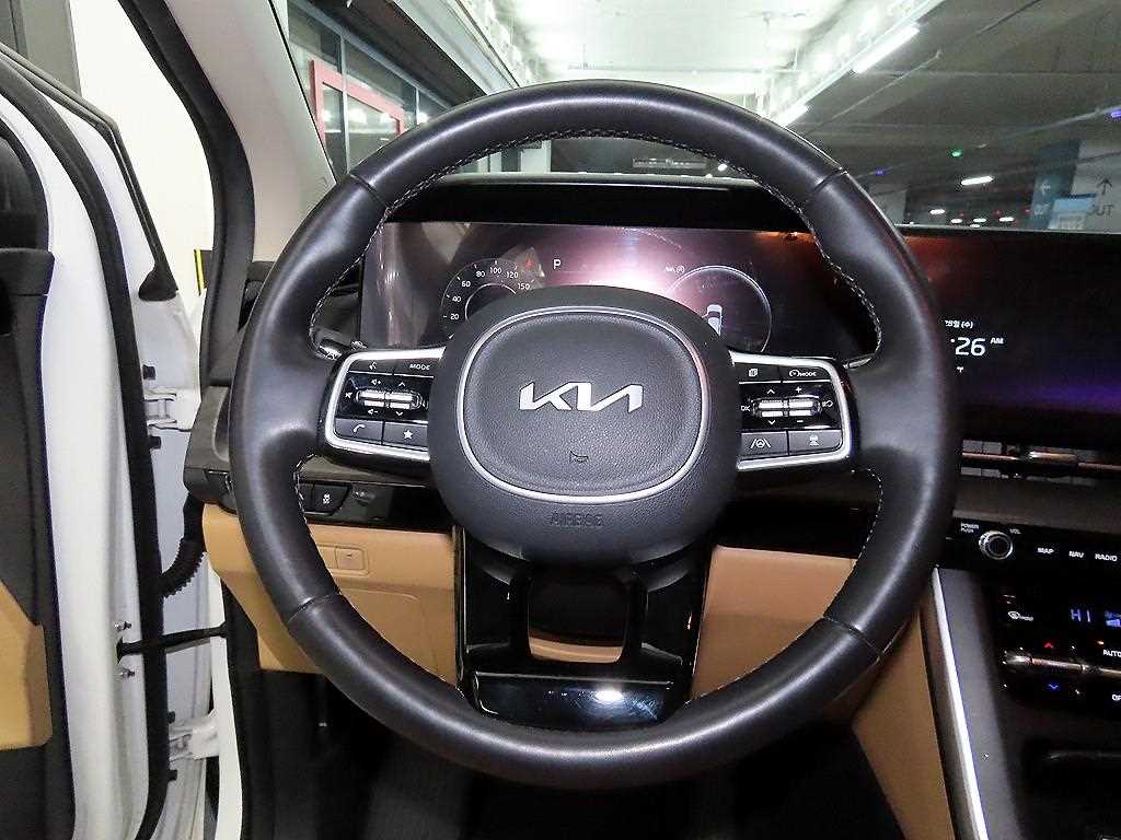 KIA Carnival - Vista 8