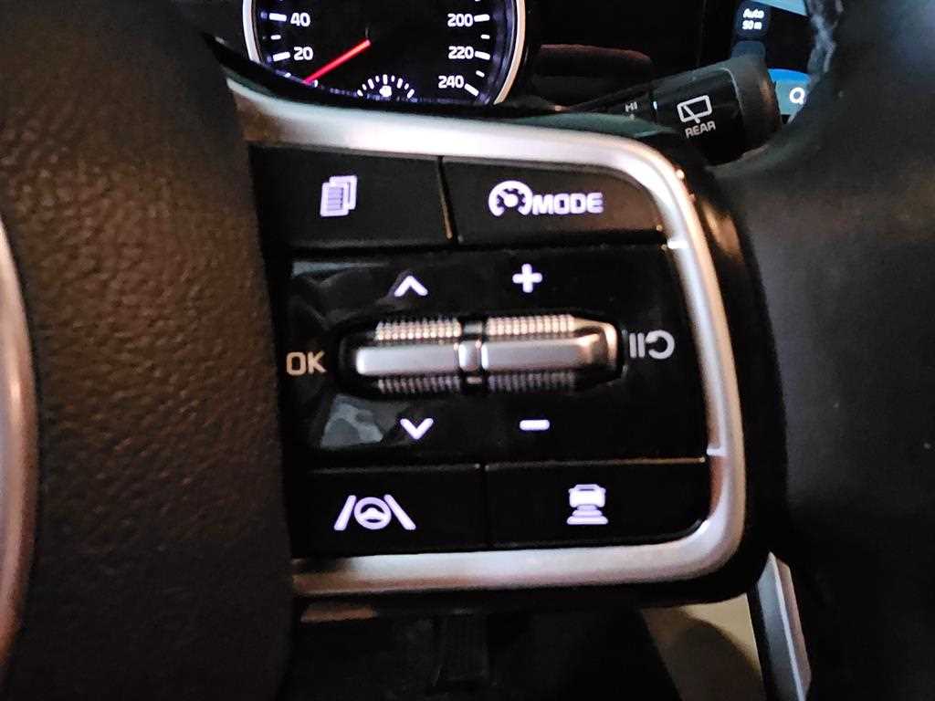 KIA Carnival - Vista 11