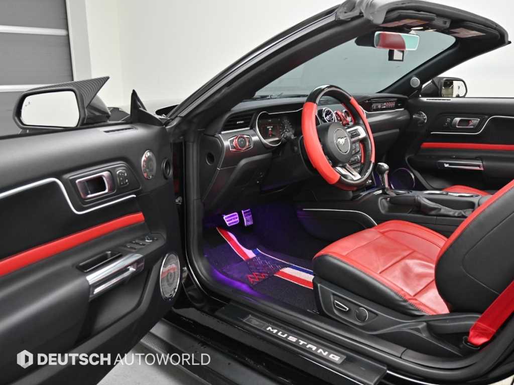 Ford Mustang - Vista 11