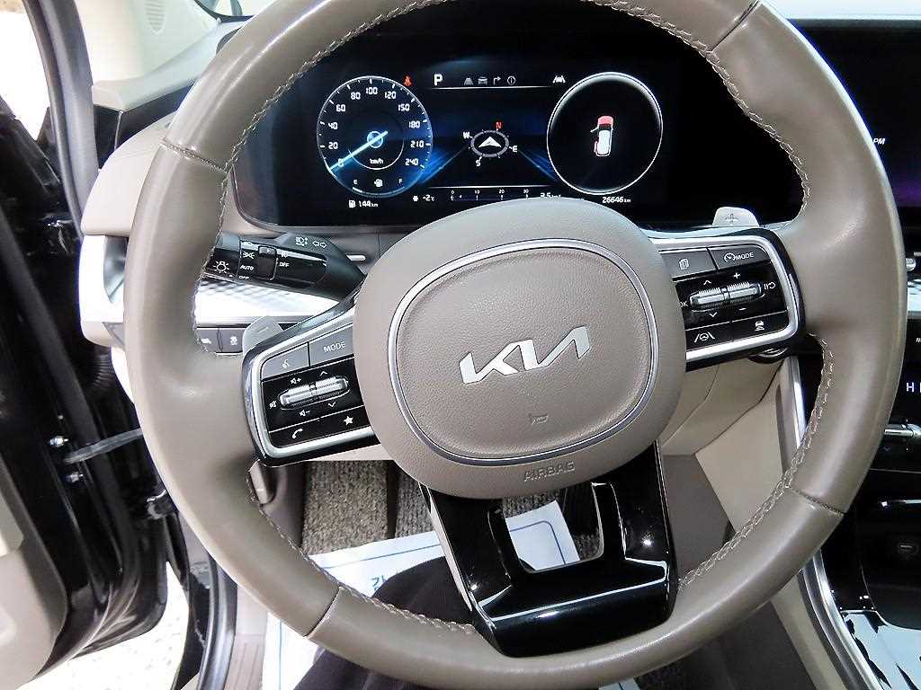 KIA Carnival - Vista 8