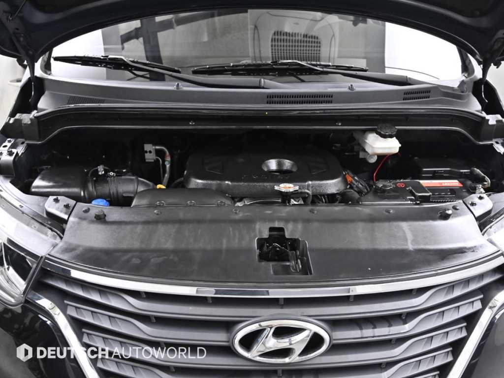 HYUNDAI Starex - Vista 6