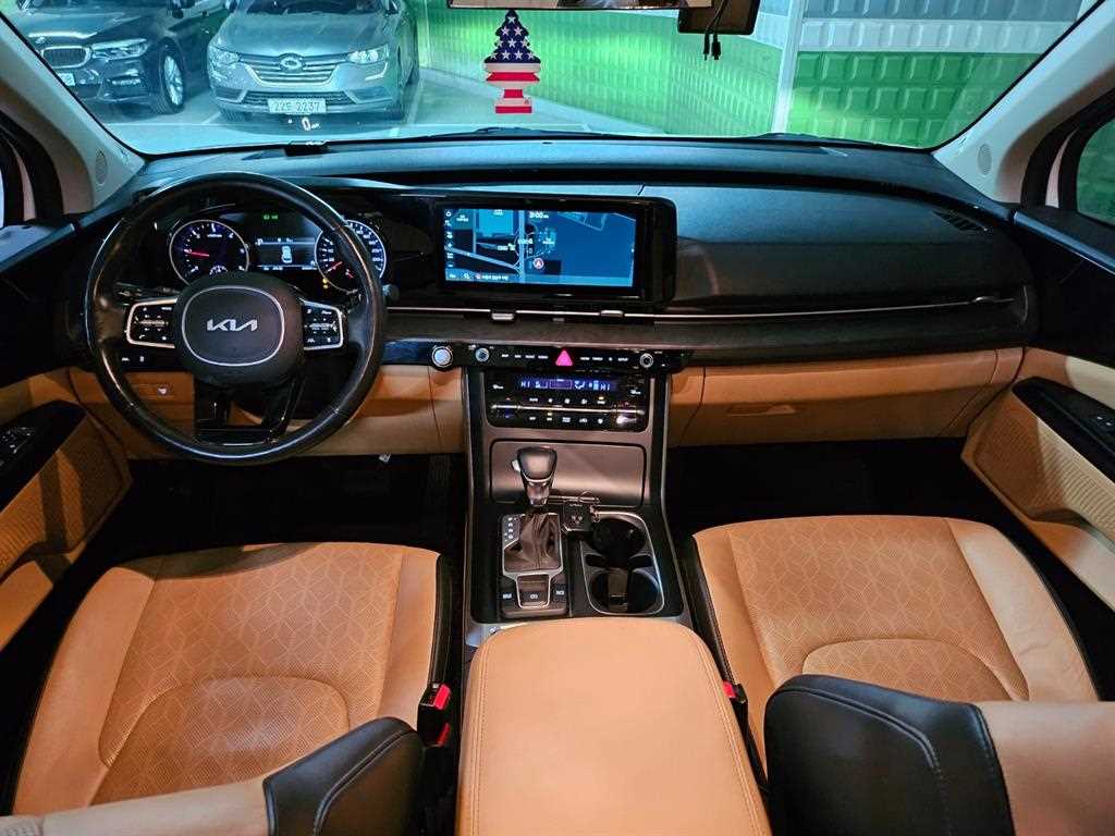 KIA Carnival - Vista 8