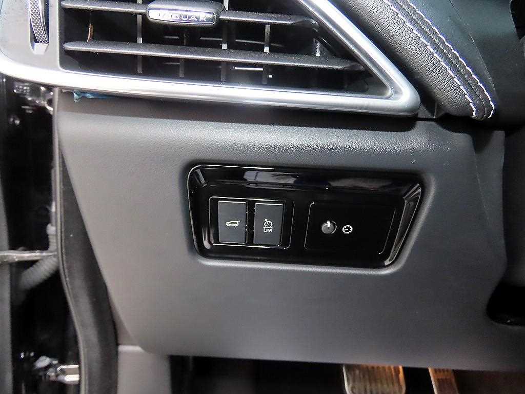 Jaguar F-PACE - Vista 12