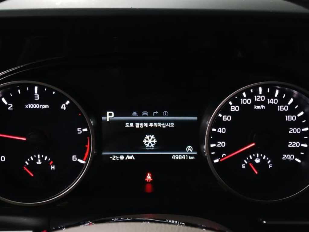 KIA Carnival - Vista 12