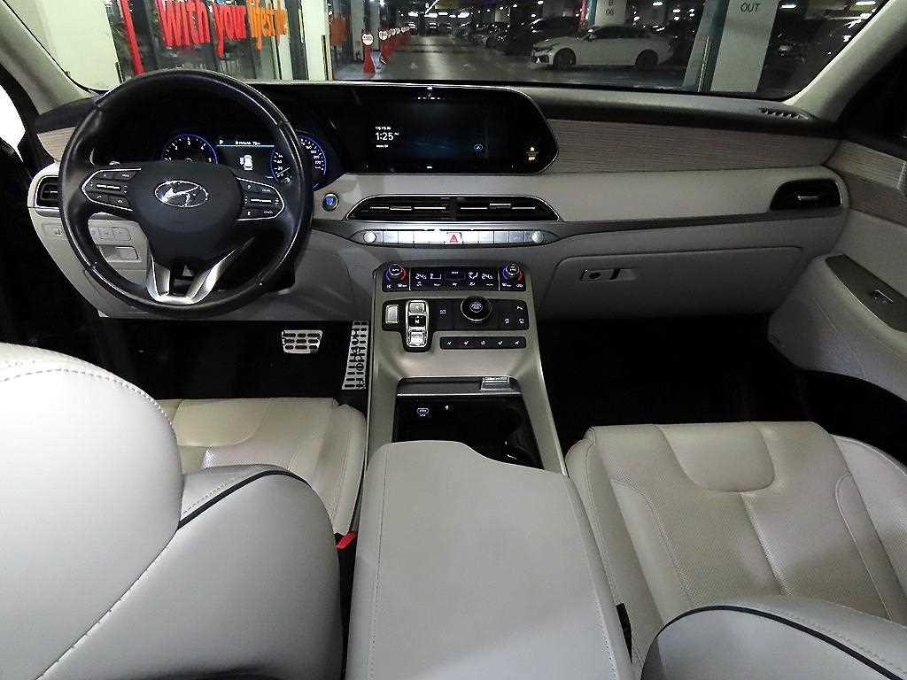 HYUNDAI Palisade - Vista 10