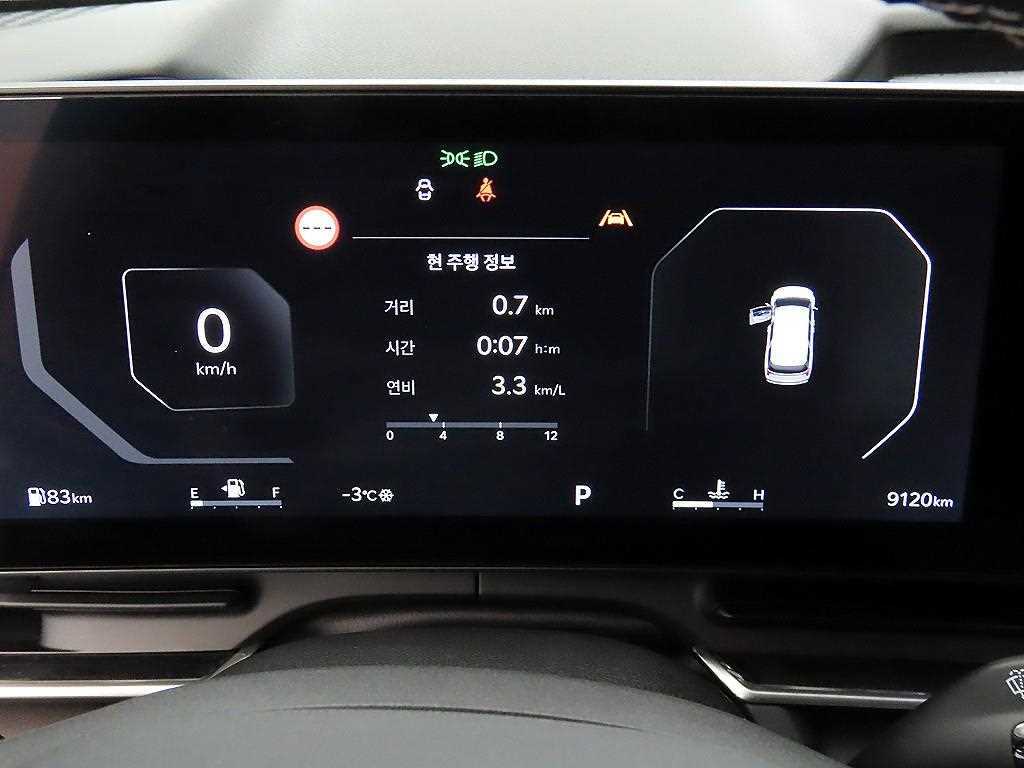 KIA Carnival - Vista 9