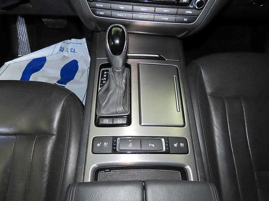 HYUNDAI Genesis - Vista 12