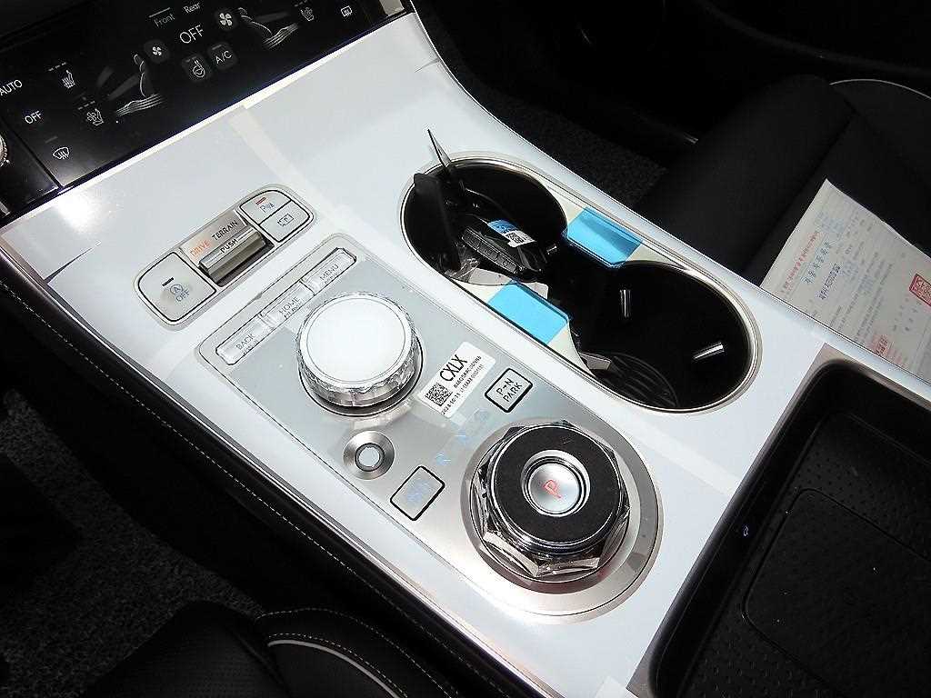 Genesis GV70 - Vista 10