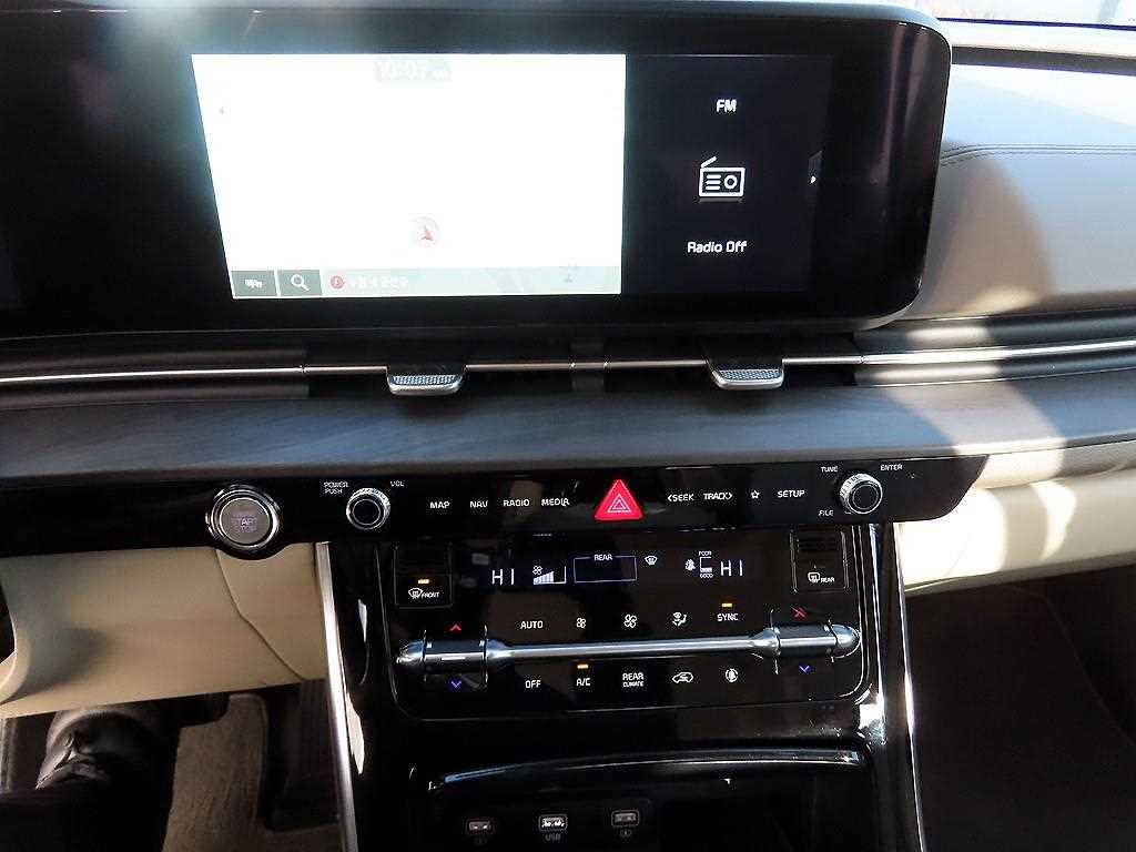 KIA Carnival - Vista 12