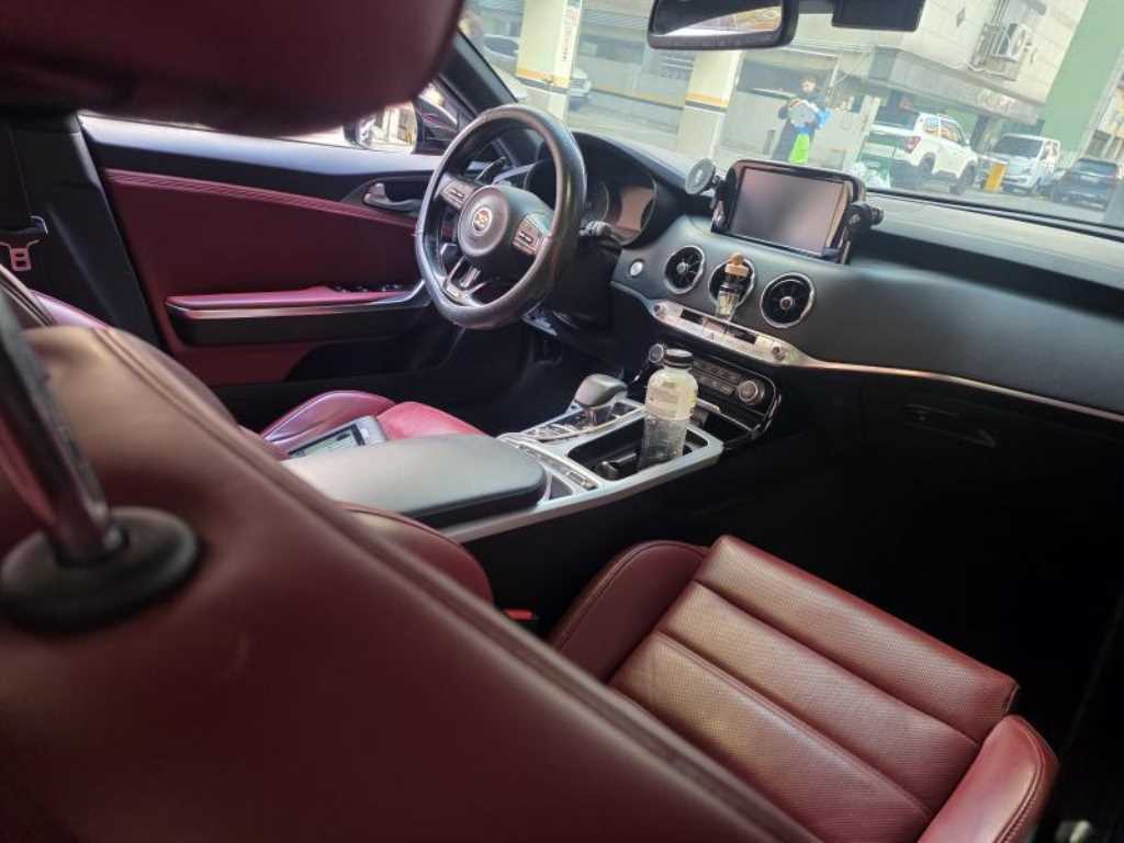 KIA Stinger - Vista 8