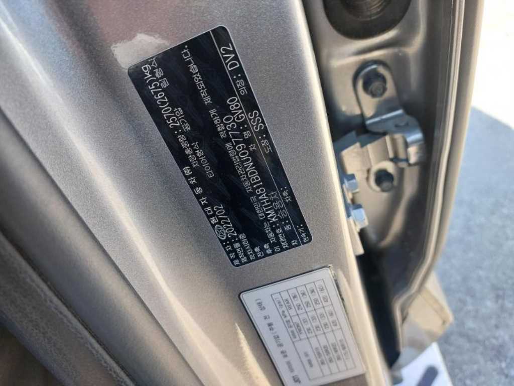 Genesis GV80 - Vista 10