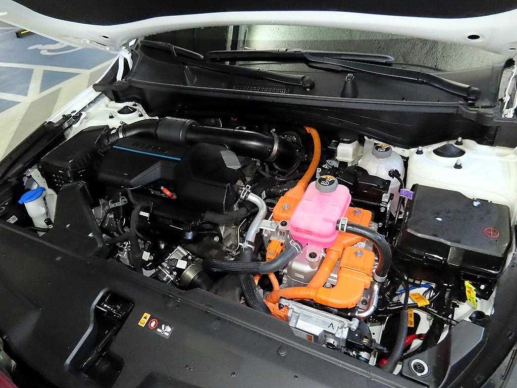 KIA Sportage 2024 - Importación desde Corea - HF Imports Iquique - Foto 19