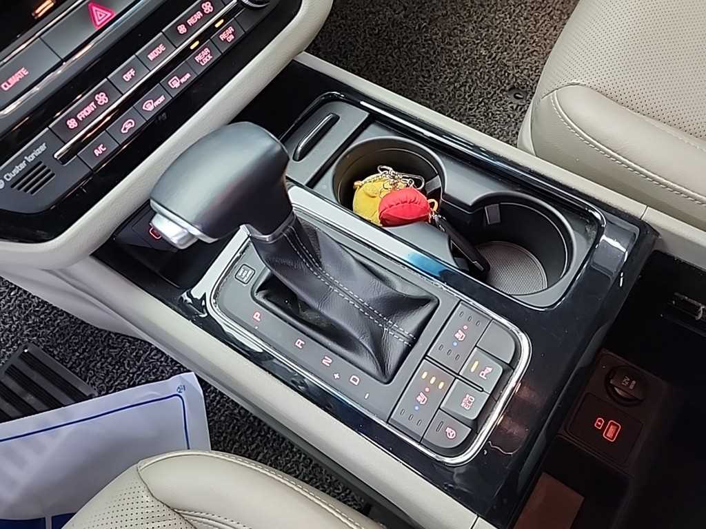 KIA Carnival - Vista 8