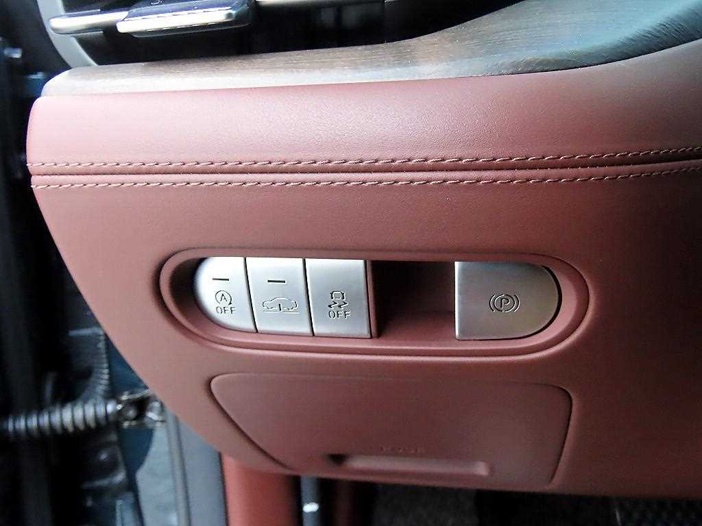 Genesis G90 - Vista 12