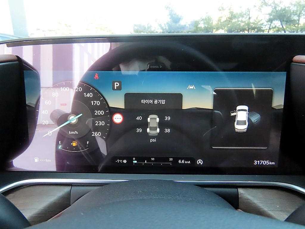 Genesis G90 - Vista 9