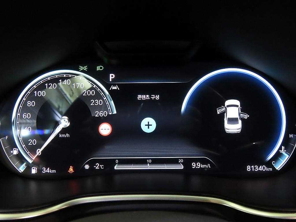 Genesis G80 - Vista 9