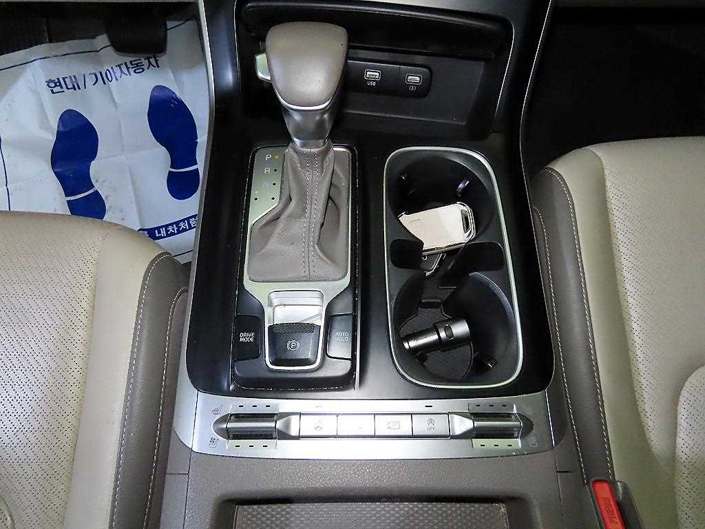 KIA Carnival - Vista 12