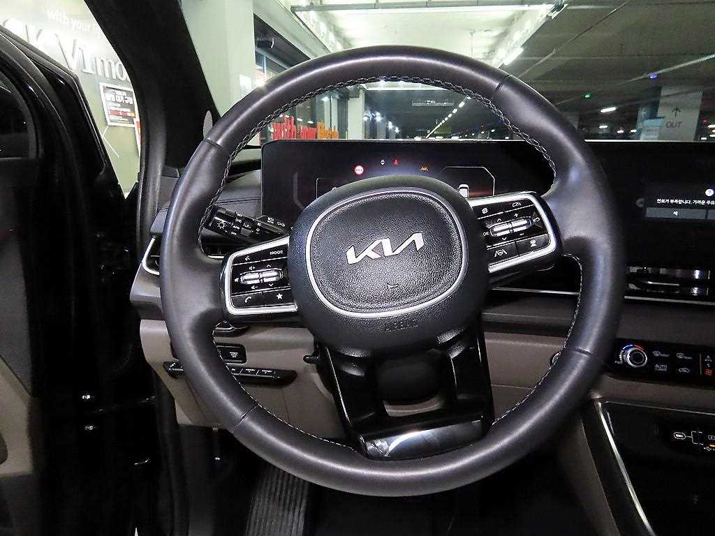 KIA Carnival - Vista 8