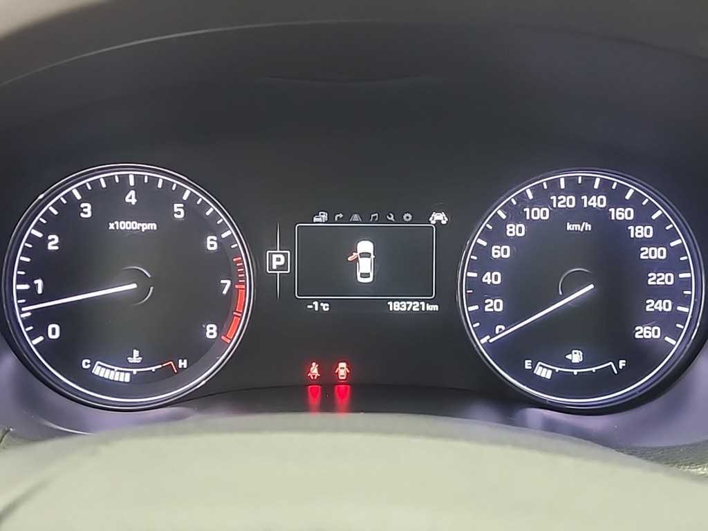 HYUNDAI Genesis - Vista 6