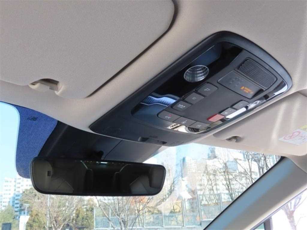 KIA Carnival - Vista 10