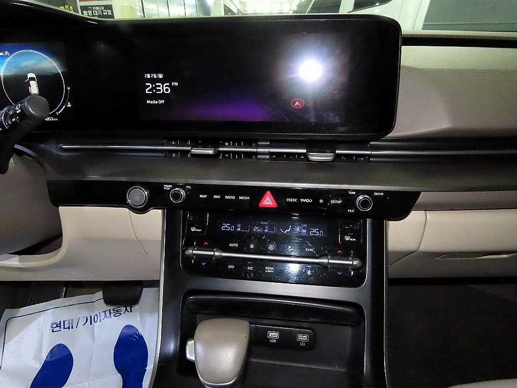 KIA Carnival - Vista 11